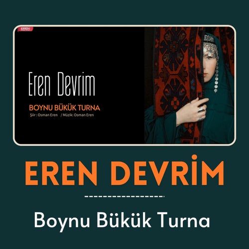 Boynu Bükük Turna