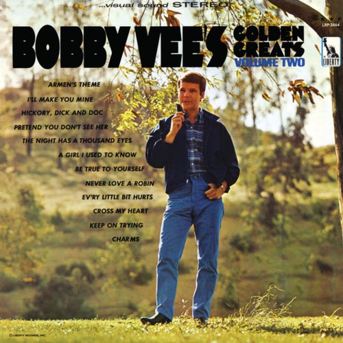 Bobby Vees Golden Greats (Vol. 2)