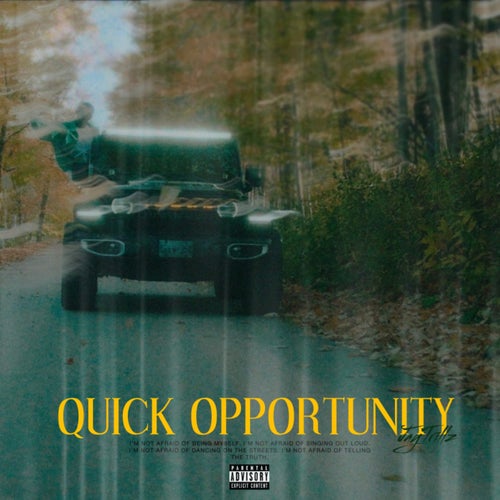 Quick Opportunity