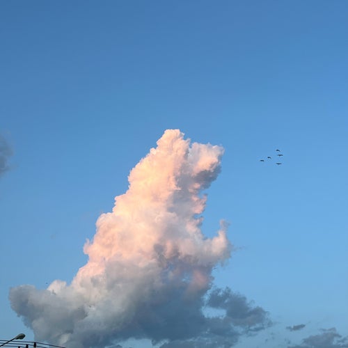 วันนี้เมฆสีอะไร (sped up)