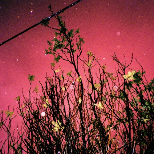 I Thought This Was My Dream / Morningstar