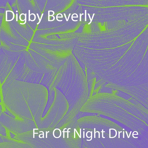 Far Off Night Drive