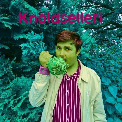 Knoldselleri