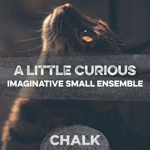 A Little Curious - Imaginative Small Ensemble