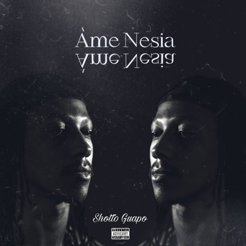 Âme nesia