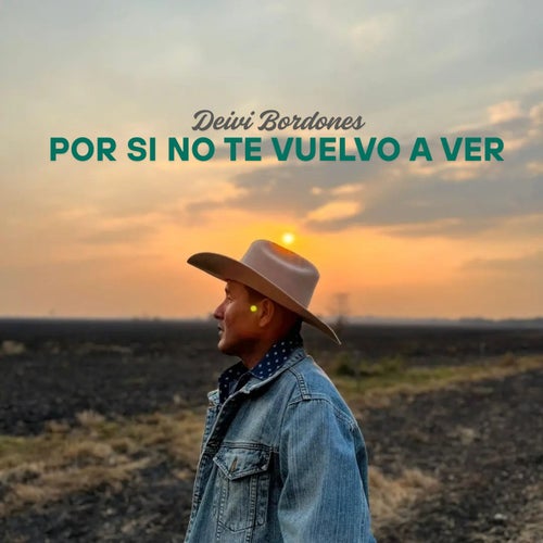 Por si no te Vuelvo a Ver