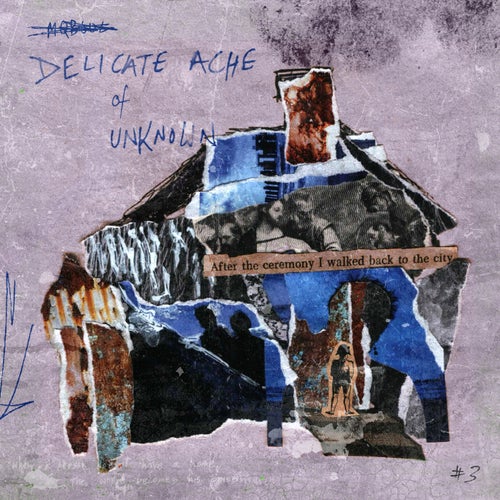 Delicate Ache Of Unknown