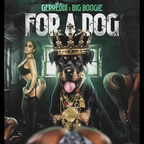 For A Dog