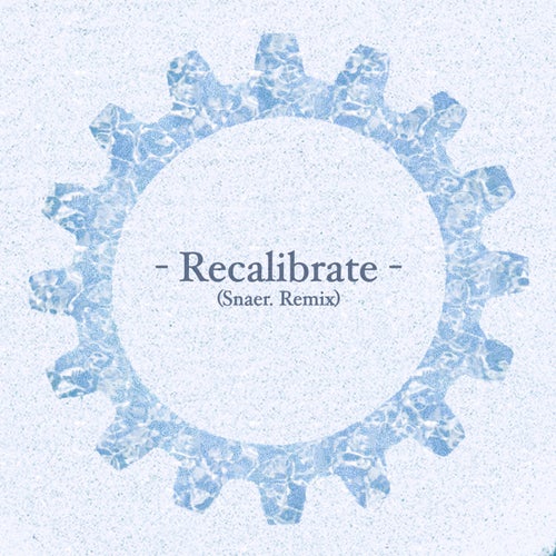 Recalibrate (Snaer. Remix)