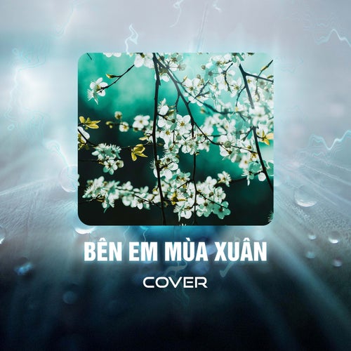 Bên Em Mùa Xuân (Cover)