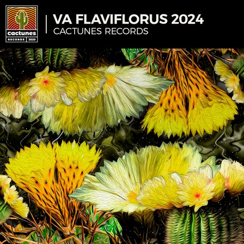 V.A Flaviflorus 2024