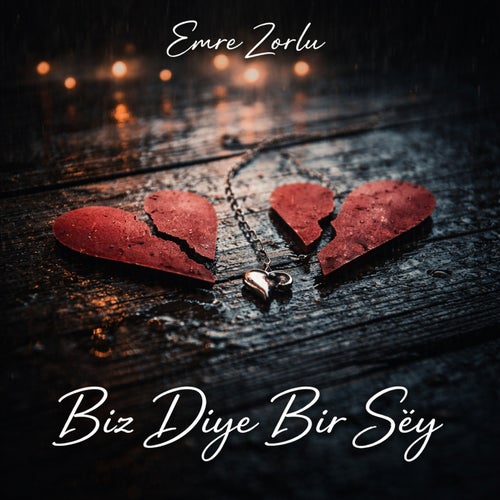 Biz Diye Bir Şey
