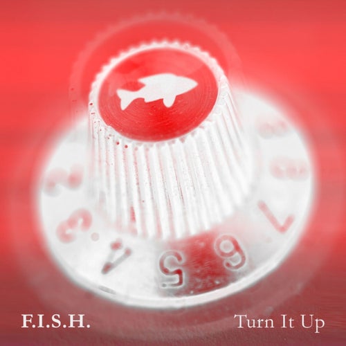 Turn it up