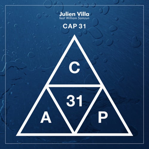 Cap 31