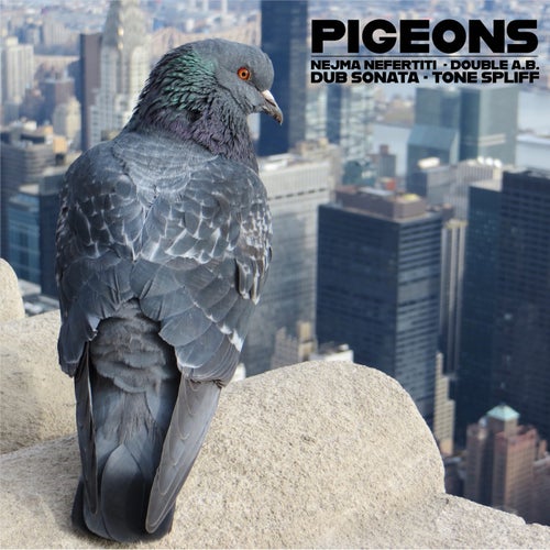 Pigeons