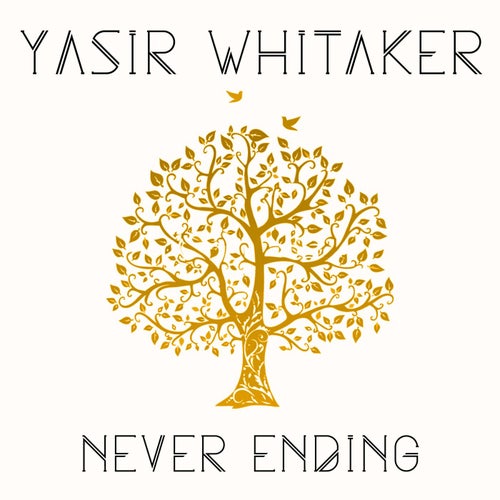 Never Ending
