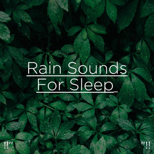 !!" Deep Sleep Rain "!!