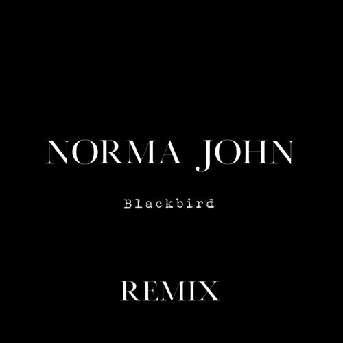 Blackbird (Remix)