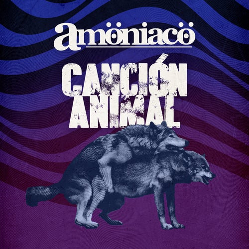Cancion Animal