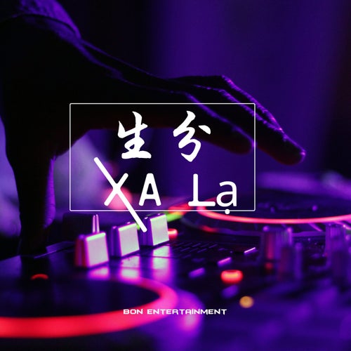生分 (Dj版)