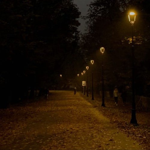 Night Fall