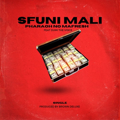 Sfuni Mali (feat. DTV)
