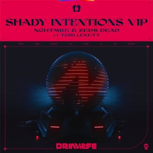 Shady Intentions (VIP)