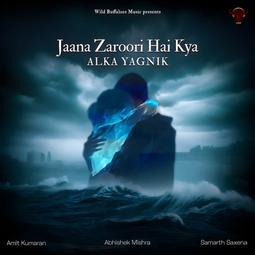 Jaana Zaroori Hai Kya