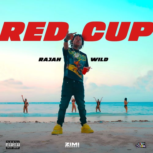 Red Cup