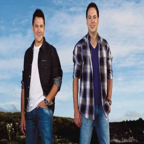 Abelha