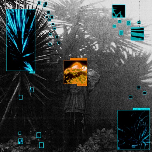 Release of the week