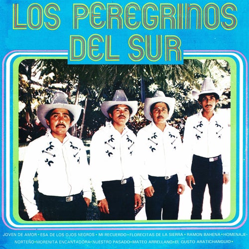 Los peregrinos del sur