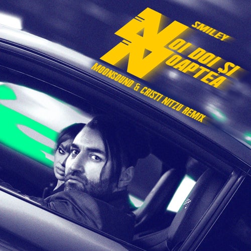 Noi Doi Si Noaptea (Moonsound & Cristi Nitzu Remix)