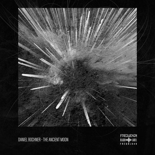 Release of the week
