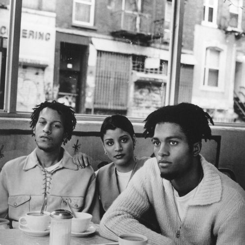 Digable Planets Profile