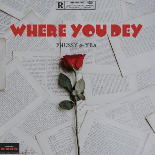 Where you dey (feat. Yba)