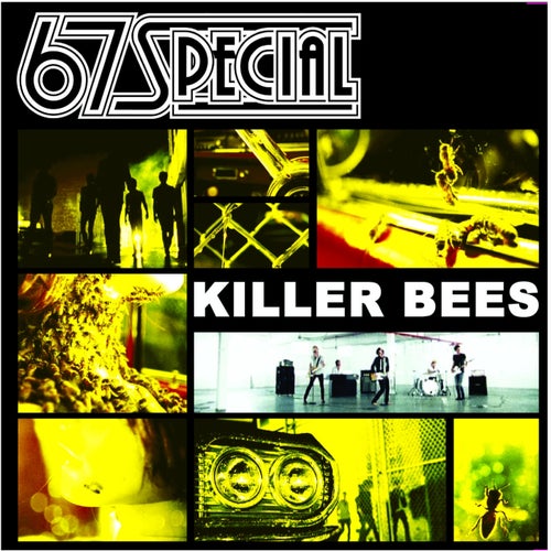 Killer Bees (Bundle)
