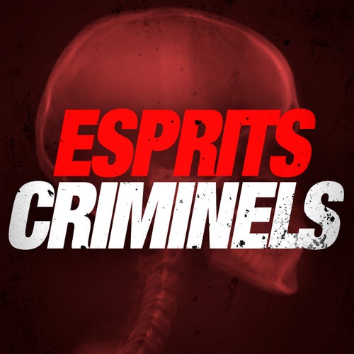 Esprits Criminels (Version Longue Inédite - Générique / Thème Série Télé)