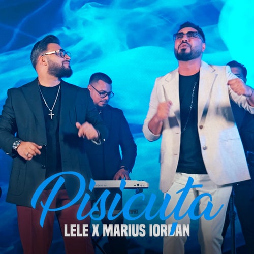 Pisicuța