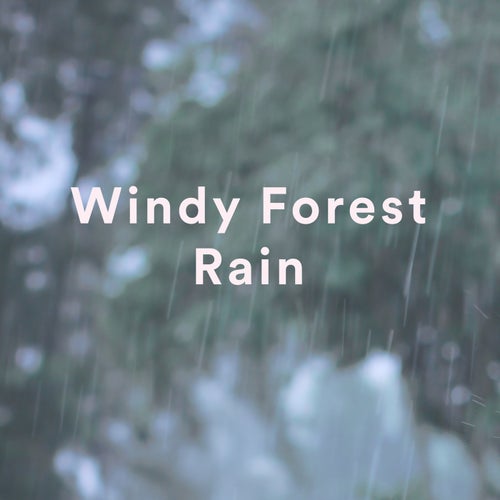 Windy Forest Rain