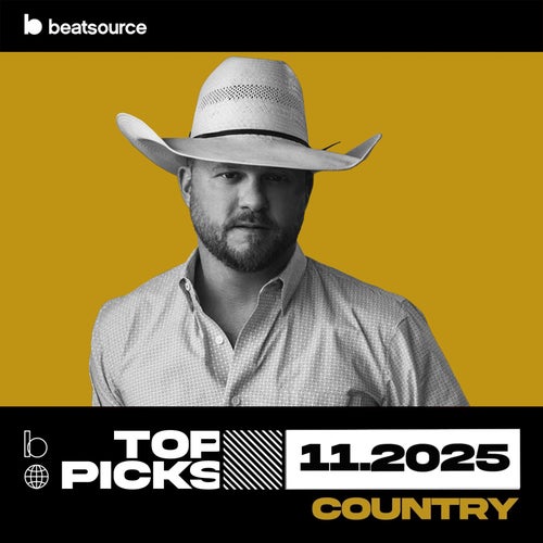 Country Top Picks November 2025 playlist