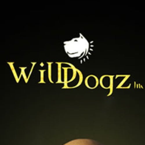 Wild Dogz Profile