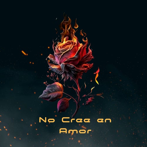 No cree en amor