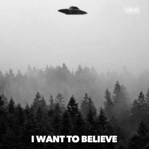 I Want To Believe