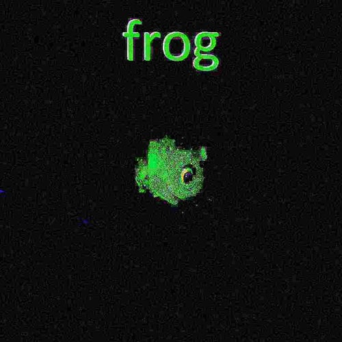 FROG