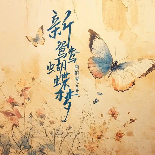 新鴛鴦蝴蝶夢