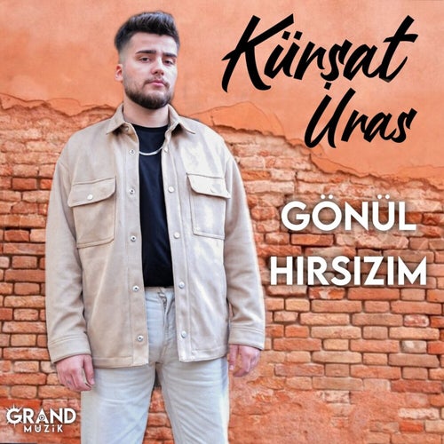 Gönül Hırsızım