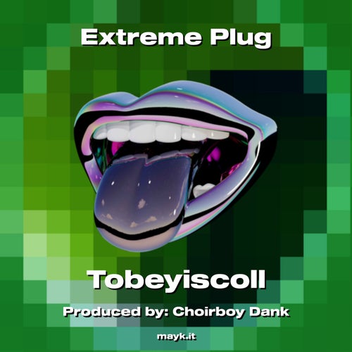 Plug