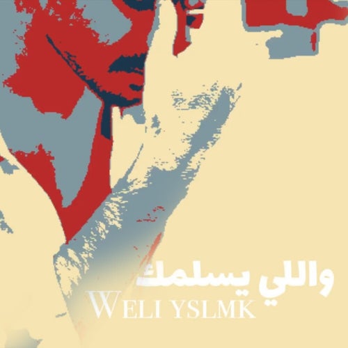 Weli Yslmk (Live Cover)