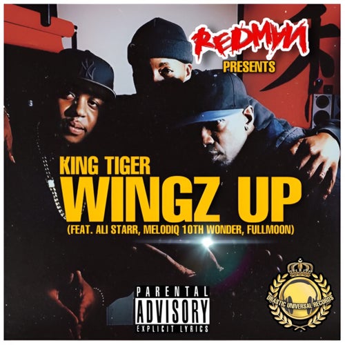 Wingz Up (feat. Redman, Ali Starr, Melodiq Tenth Wonder & Fullmoon) [Extended Version]
